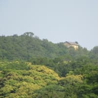 木津温泉（ゑびすや）周辺の自然・環境