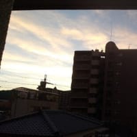 2025年7月14日（月）晴。