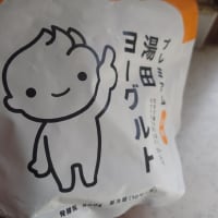 ニチジョウの朝