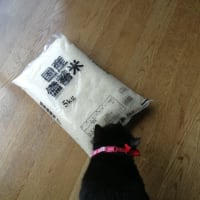 備蓄米５ｋｇ２１４９円...