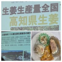 中央市場魚菜果塾（茗荷と囲い生姜）