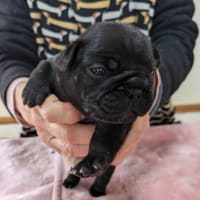 ＊＊マリンの赤ちゃん　お目目が開きました♪＊＊