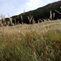 ビックリしました、、、