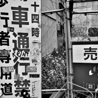 大阪西成、空き地の前の看板。