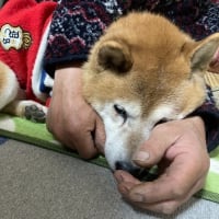 距離感は大事