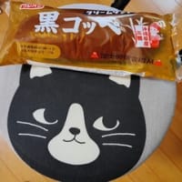今日のお買い物