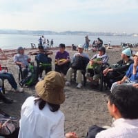 【野外講座レポート】東京湾の小さな無人島で「食べる自然体験」