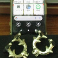 キャストエルク　シーホース