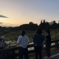 ◆  民泊