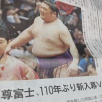 朝日新聞朝刊・尊富士、110年ぶり新入幕 Ⅴ