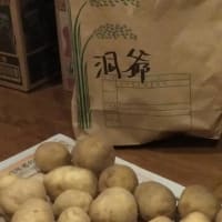 親戚の方からいただいた大量の芋