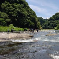 【釣】青野原オートキャンプ場で鮎釣りサポート