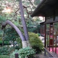 東京散策；スカイツリー＆柴又