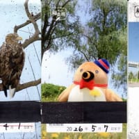 年間パス