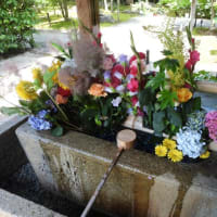 花手水がきれいな毘沙門堂『勝林寺』