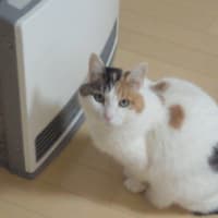 今日もぬくぬく！