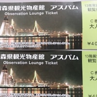 津軽半島の旅　～アスパムからの眺め～