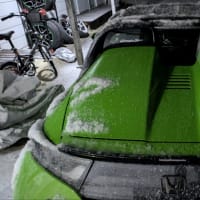 思わぬ発見