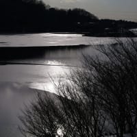 ２月２日(水) 晴　ダム湖部分結氷