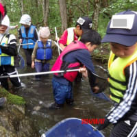 2024年8月7日(水)樽前山麓ネイチャー探検！ディキャンプの様子