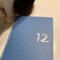 電子レンジが温めてくれない