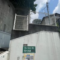 川崎市岡上付近の急坂を巡る②〜斜度42°はすごい