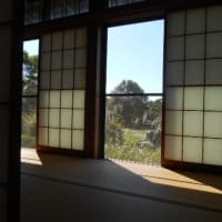 一週間の間に。
