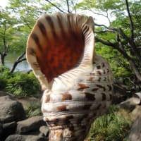 6月中にFB及びX（Twitter）で発進いた法螺貝をまとめてブログアップ致します。