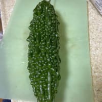 久しぶりに、メールしたなぁ。