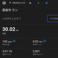 趣味の世界