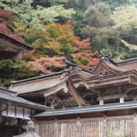 美濃市大矢田の紅葉