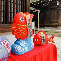 あじさい咲く川越の旅・・✨⛩🐤♫