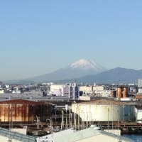 嫌になっちゃうな