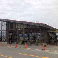 どんぐり大麻店