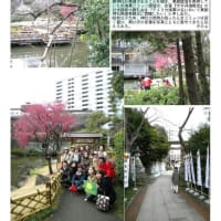施設案内東京-516   東郷神社