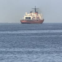 横須賀軍港めぐり