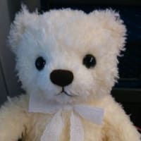 かわいいくまちゃん さくらんぼベア テディベア工房