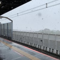 降っています。