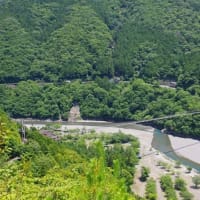 日本一・谷瀬の吊り橋へ