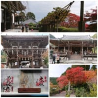 西国三十三ヶ所札所『善峯寺』と『穴太寺』へ