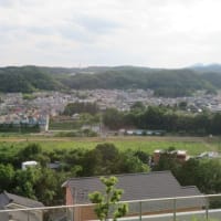 病院からの風景