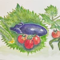 野菜を描く