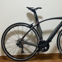 新しいCarrera Phibra