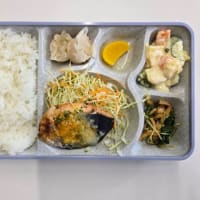 太陽弁当6/30日〜7/4日