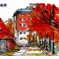 ハガキ絵　鹿沼市　小路の紅葉