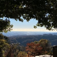 そうだ、高尾山へ行こう！7