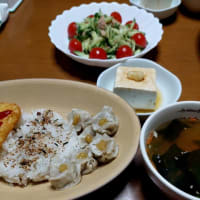休肝日の夕食(5/7～5/8)