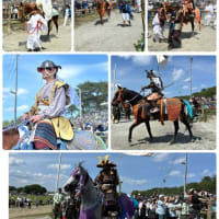 一千年の歴史　伝統の祭り　相馬野馬追