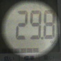 臨月でもないのに 臨月と同じ体重になった にっち日記 臨月でもないのに 臨月と同じ体重になった にっち日記