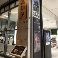 高知旅